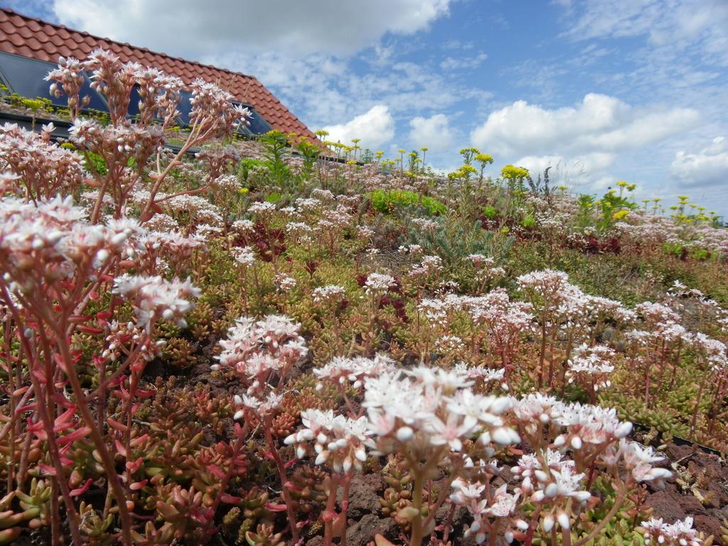 Fleur De Ciel Villa Loos-en-Gohelle Bagian luar foto