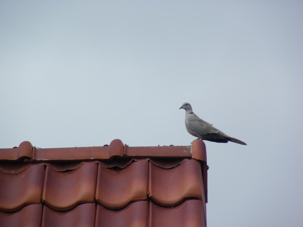 Fleur De Ciel Villa Loos-en-Gohelle Bagian luar foto